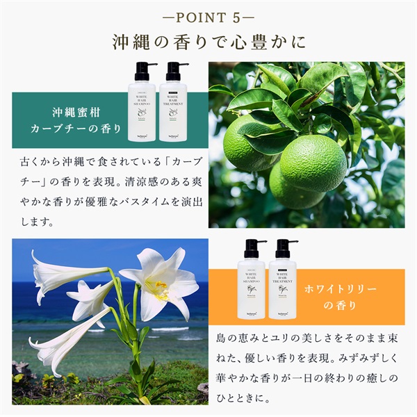 薬用ホワイトヘアトリートメントボトルイン (ホワイトリリーの香り) 詳細画像