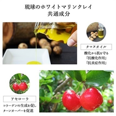 琉球のホワイトマリンクレイ洗顔石鹸(スコールの香り)スパウトパウチ130g 詳細画像