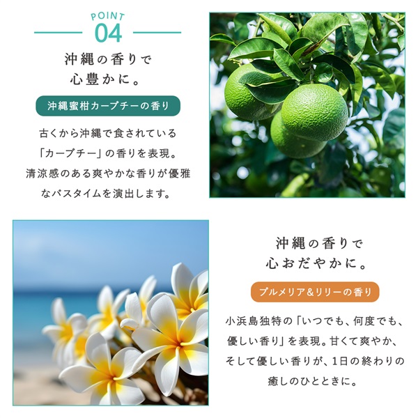 沖縄産マリンクレイシャンプー（クリームタイプ）プルメリア&リリーの香り 400ml 詳細画像