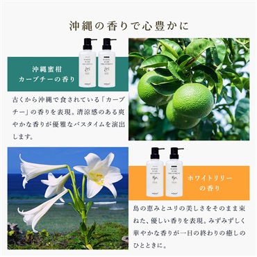 【オンライン限定】薬用ヘア＆ボディケアセット（ヘッドブラシ、爽快ヘッドスパサンプル付き） 詳細画像