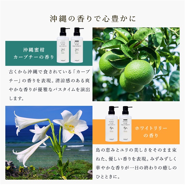 【オンライン限定】薬用ヘア＆ボディケアセット（ヘッドブラシ、爽快ヘッドスパサンプル付き） 詳細画像