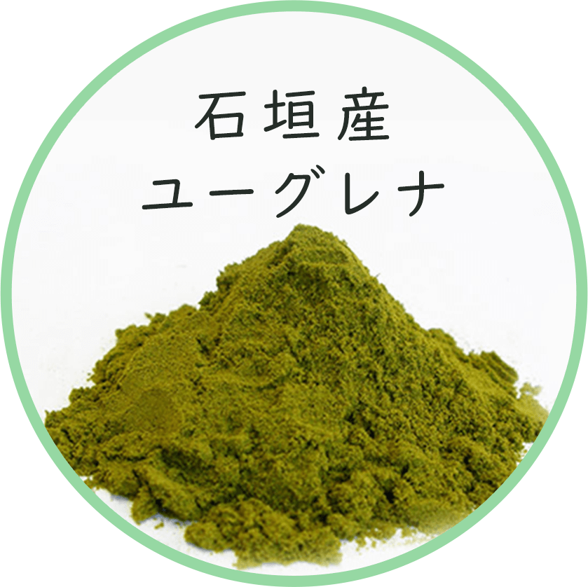 石垣産ユーグレナ