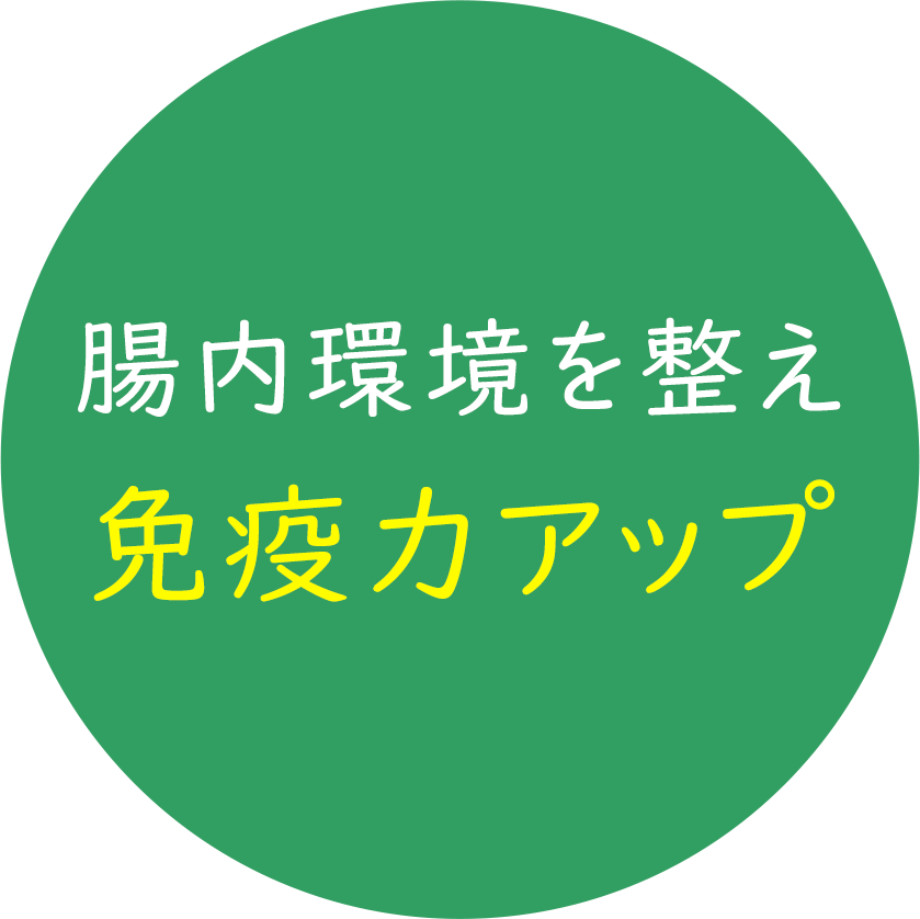 腸内環境を整え免疫力アップ