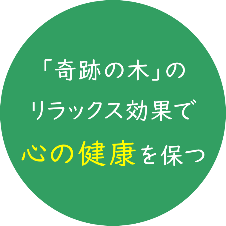 「奇跡の木」のリラックス効果で心の健康を保つ
